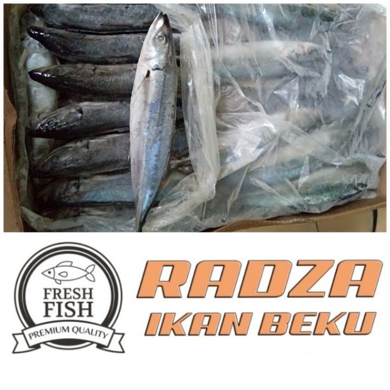 

IKAN KEMBUNG LAYANG/MB BEKU 1KG