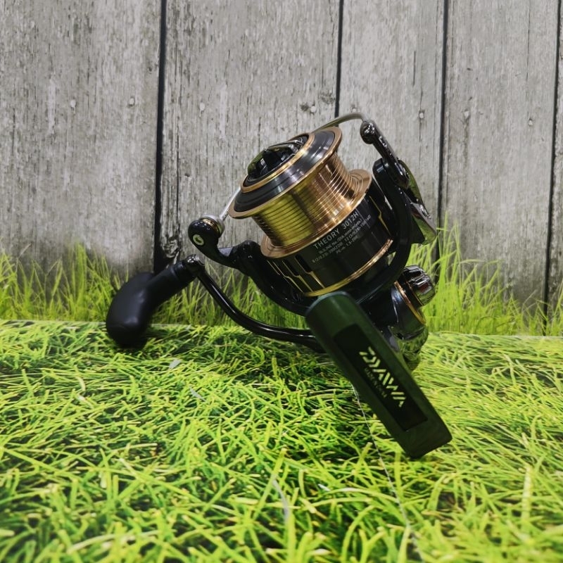Reel Spinning Daiwa Theory 3012H