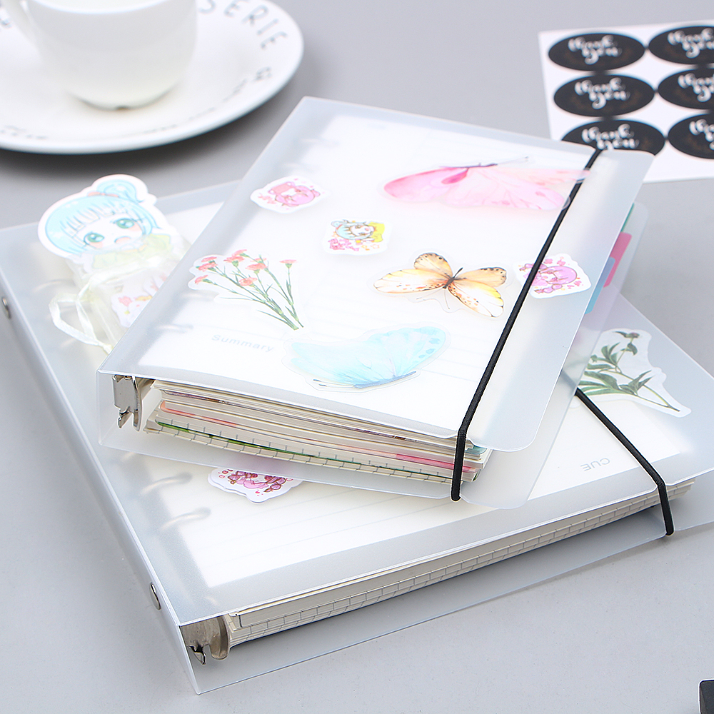 

[ALPHACA] TRANSPARENT BINDER A6 Plastic
