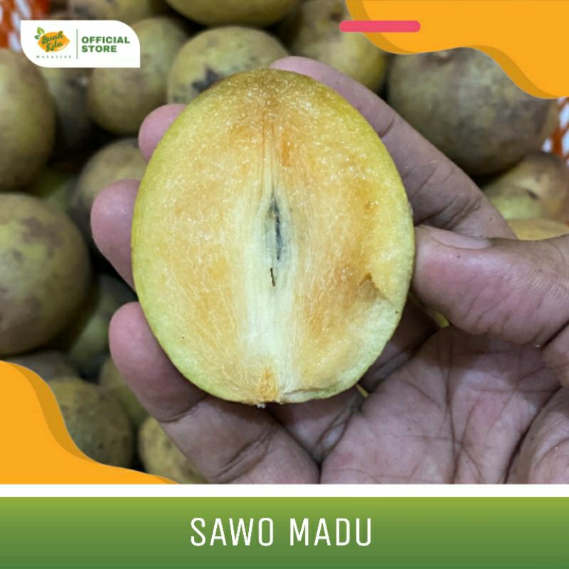 

SAWO MADU MANIS LOKAL