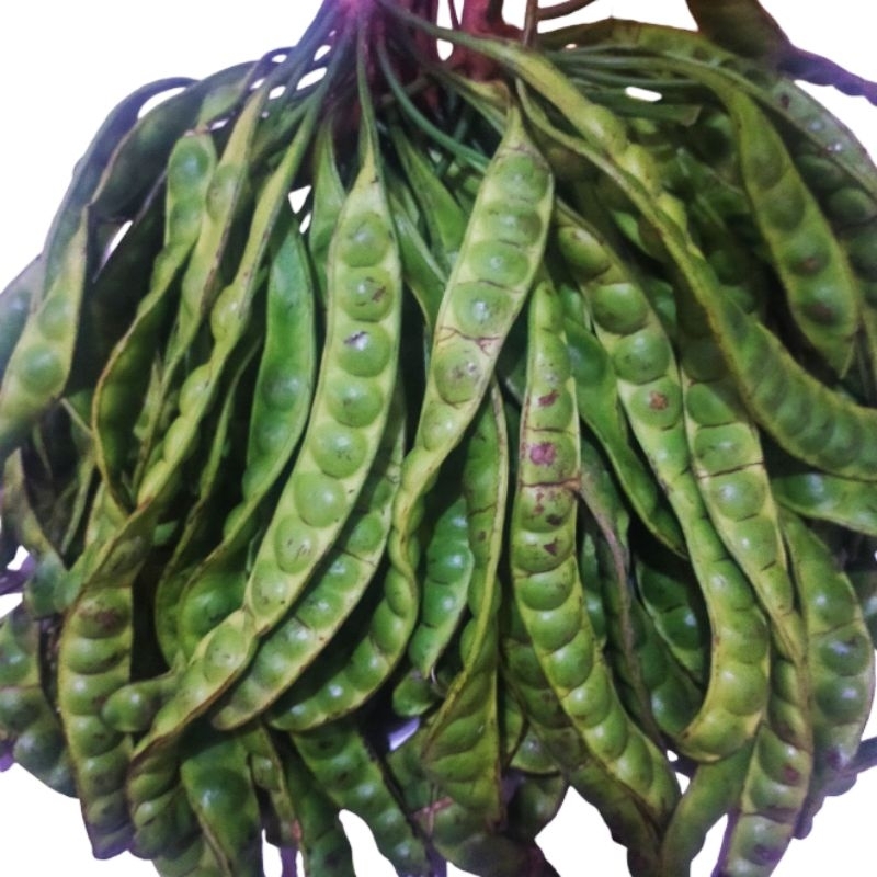 

Pete Petai Fresh Segar