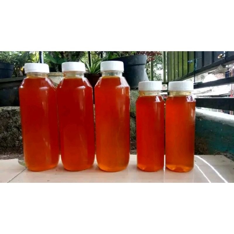 

madu hutan asli