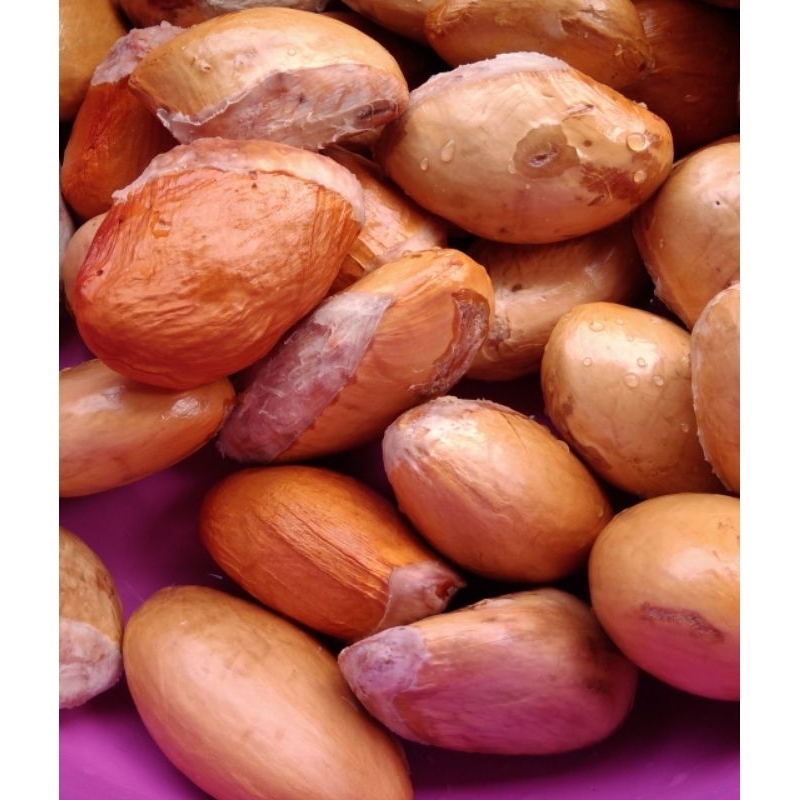 1 kg Biji Durian montong super