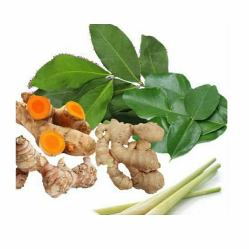 

Paket bumbu dapur lengkap (lengkuas, jahe, kencur, kunyit, sereh, salam, daun jeruk)