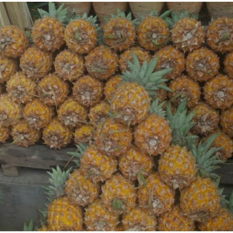 nanas madu pemalang