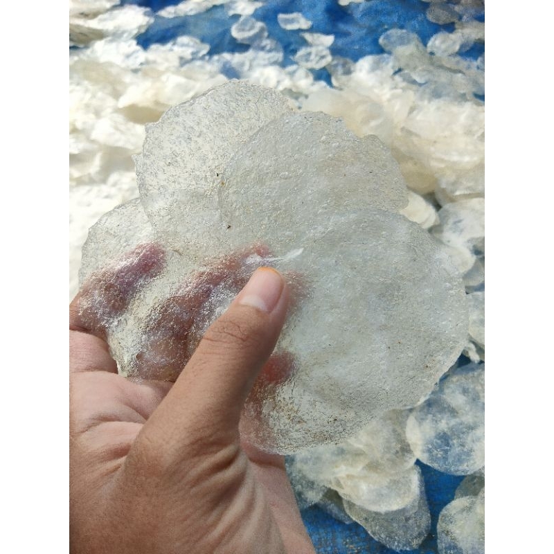 

KRIPik kaCA (KRIPCA) ¼ kg Mentah Renyah Berkualitas