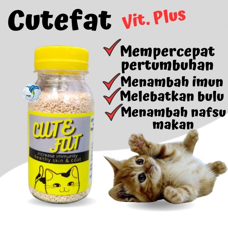 Vitamin Pertumbuhan Kucing melebatkan bulu Obat Bulu Dan Menambah Nafsu Makan Kucing Shaestore15