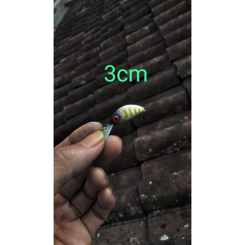 umpan casting/lure minnow