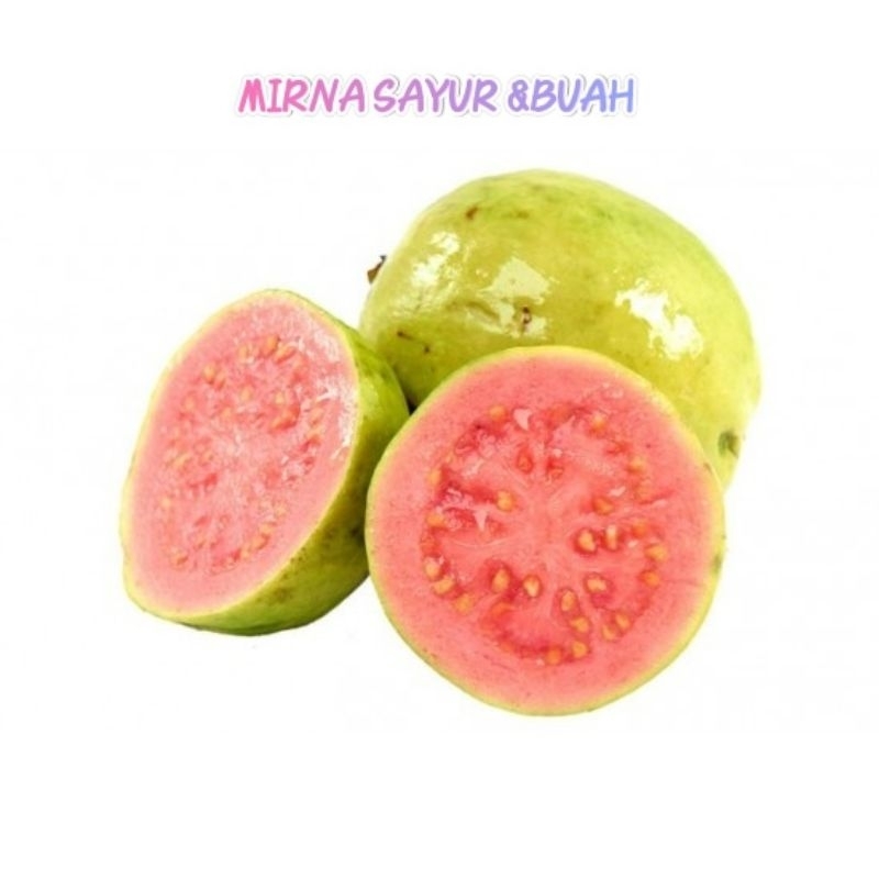 

JAMBU BIJI MERAH 1KG