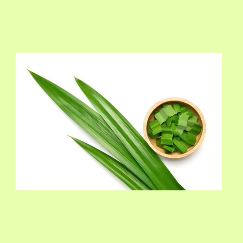 

Daun pandan / daun pandan fresh