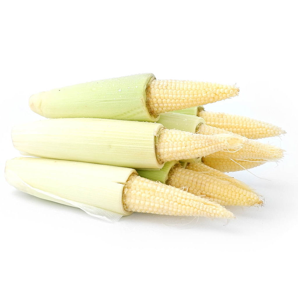 

Jagung Baby