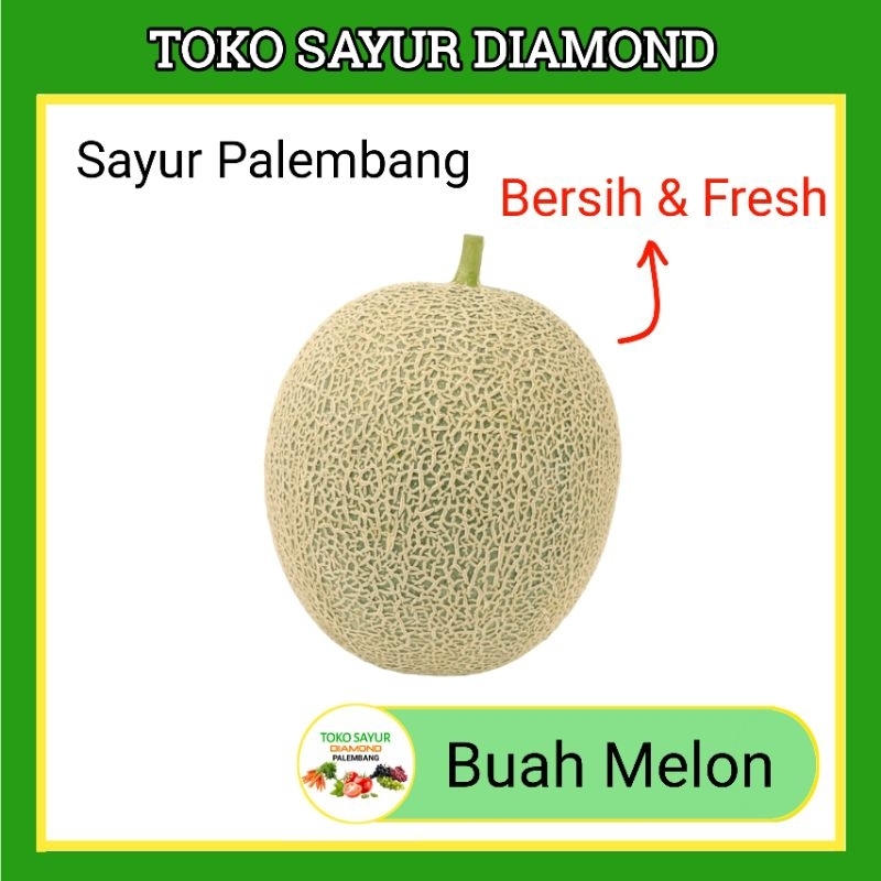 

Buah Melon - Toko Buah Segar Palembang