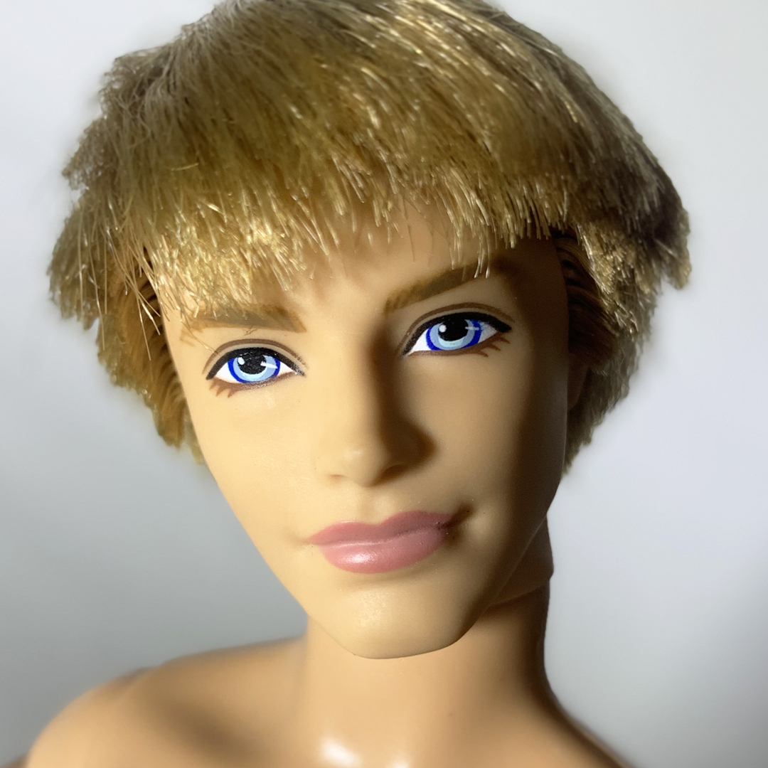 Ken Fashionistas 2009 ( Barbie / Ken Artikulasi / Pivotal / Ken Bekas )