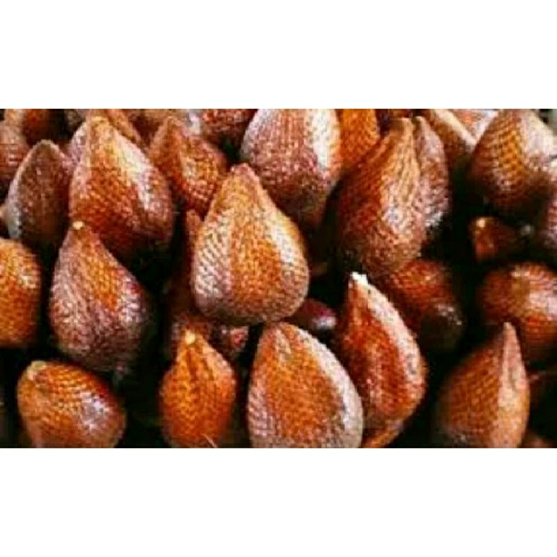 

salak pondok manis 1kg