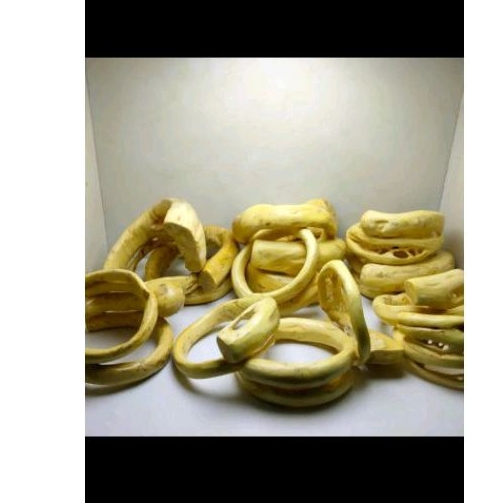 gelang akar Bahar putih babon