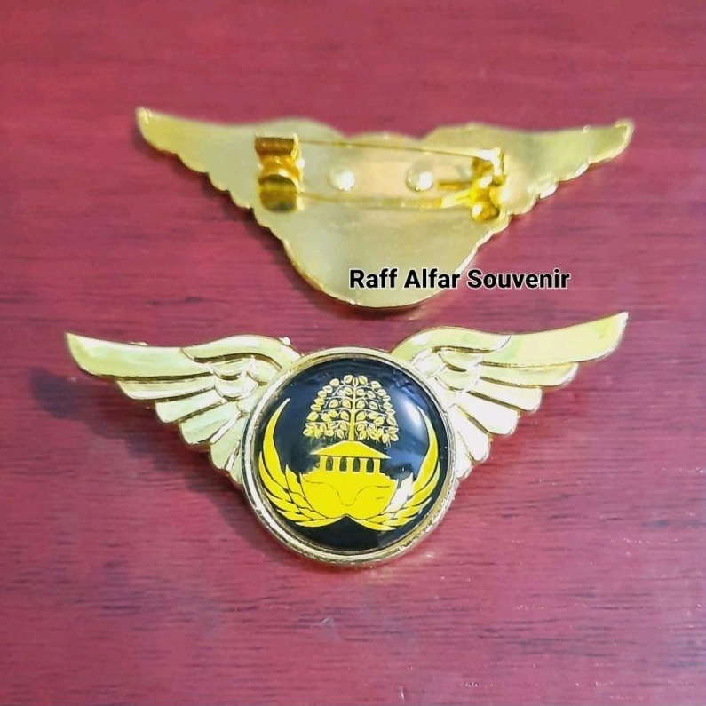 PIN KORPRI ASN - LENCANA KORPRI