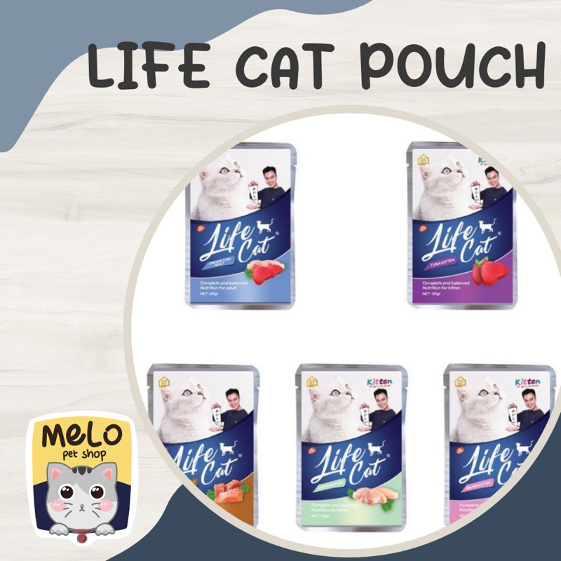 LIFE CAT POUCH WET FOOD