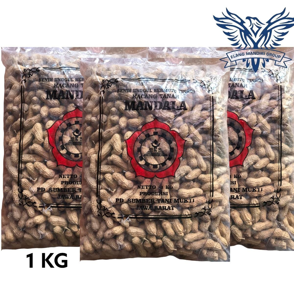 Benih KACANG TANAH 1Kg Bibit Sayuran Unggul Mandala