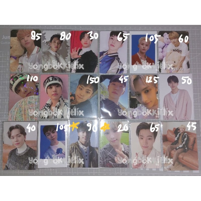 seventeen svt hoshi horanghae ainochikara aino face the sun fts gomagz dicon my choice teddy selca d