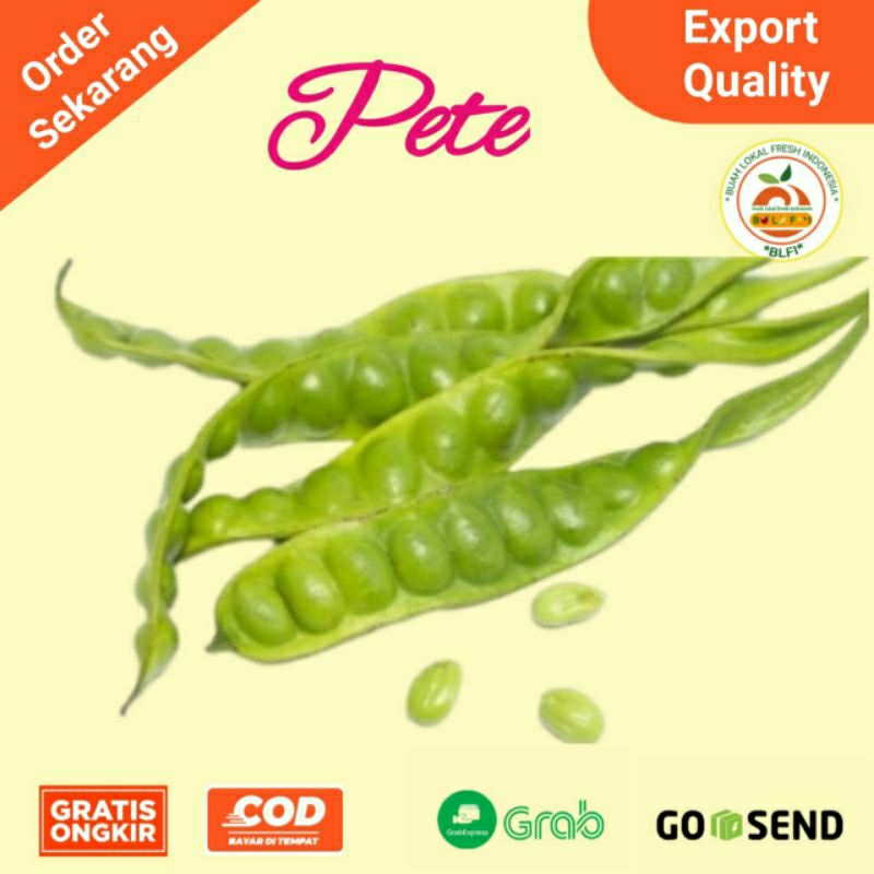 

PETE PERPAPAN HARGA PERPAPN