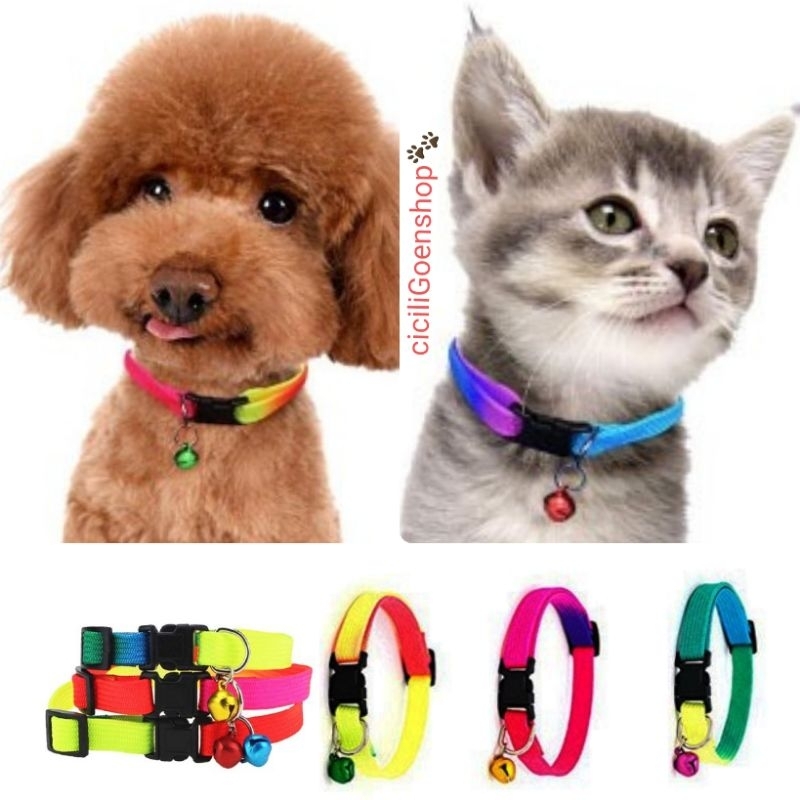 Kalung rainbow 1cm wrn sembur dg lonceng aksesoris collar kucing anjing kelinci murah simpel cantik