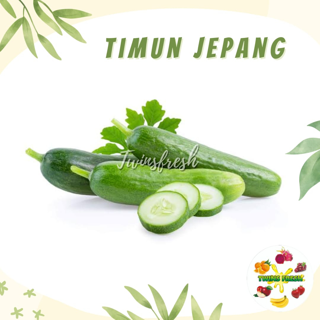 

Sayur Timun Jepang 1kg - Twins Fresh