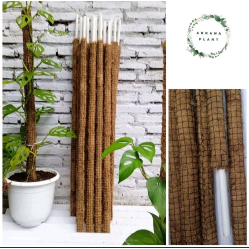 Turus  / Penyangga Tanaman 150 Cm, diameter Turus  6 Cm