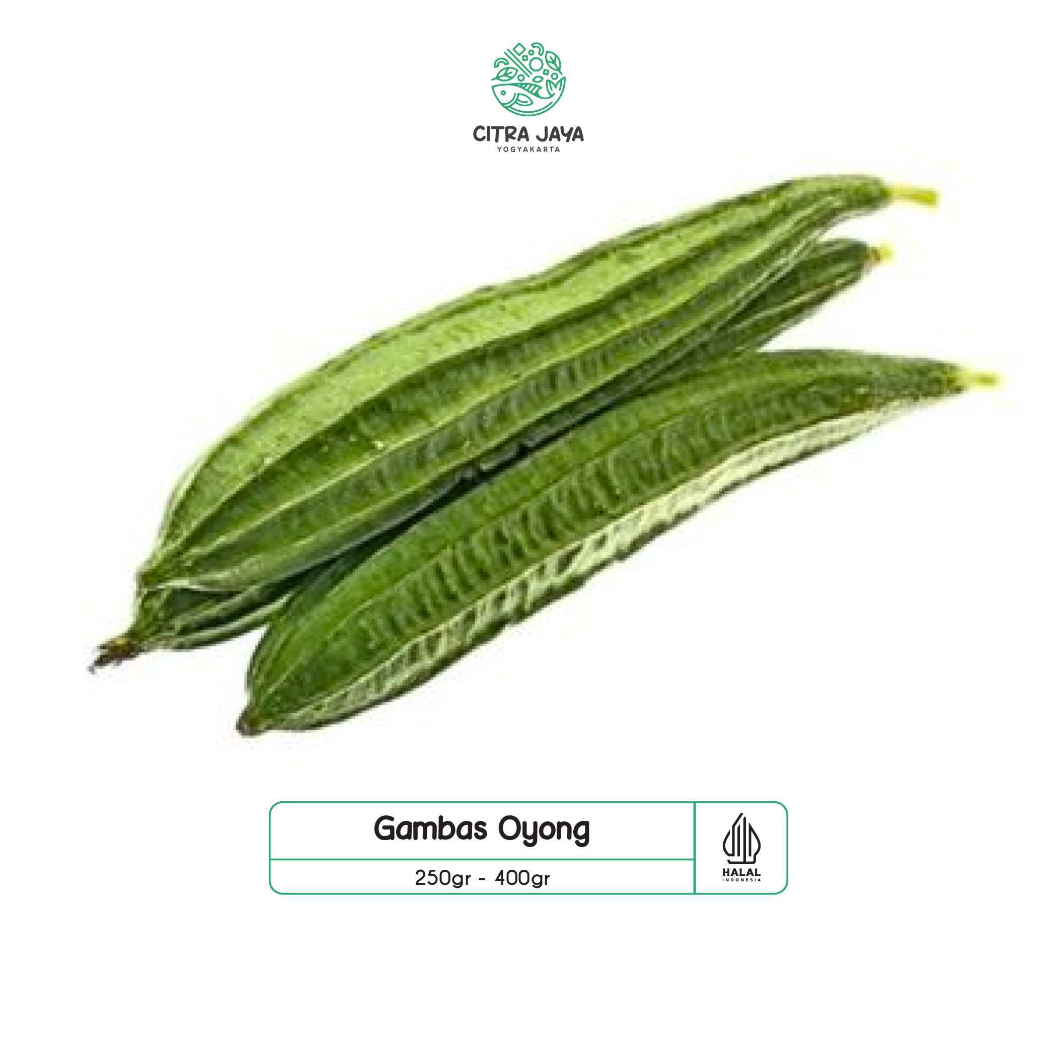 

Gambas / Oyon 500g - Citra Jaya Yogyakarta