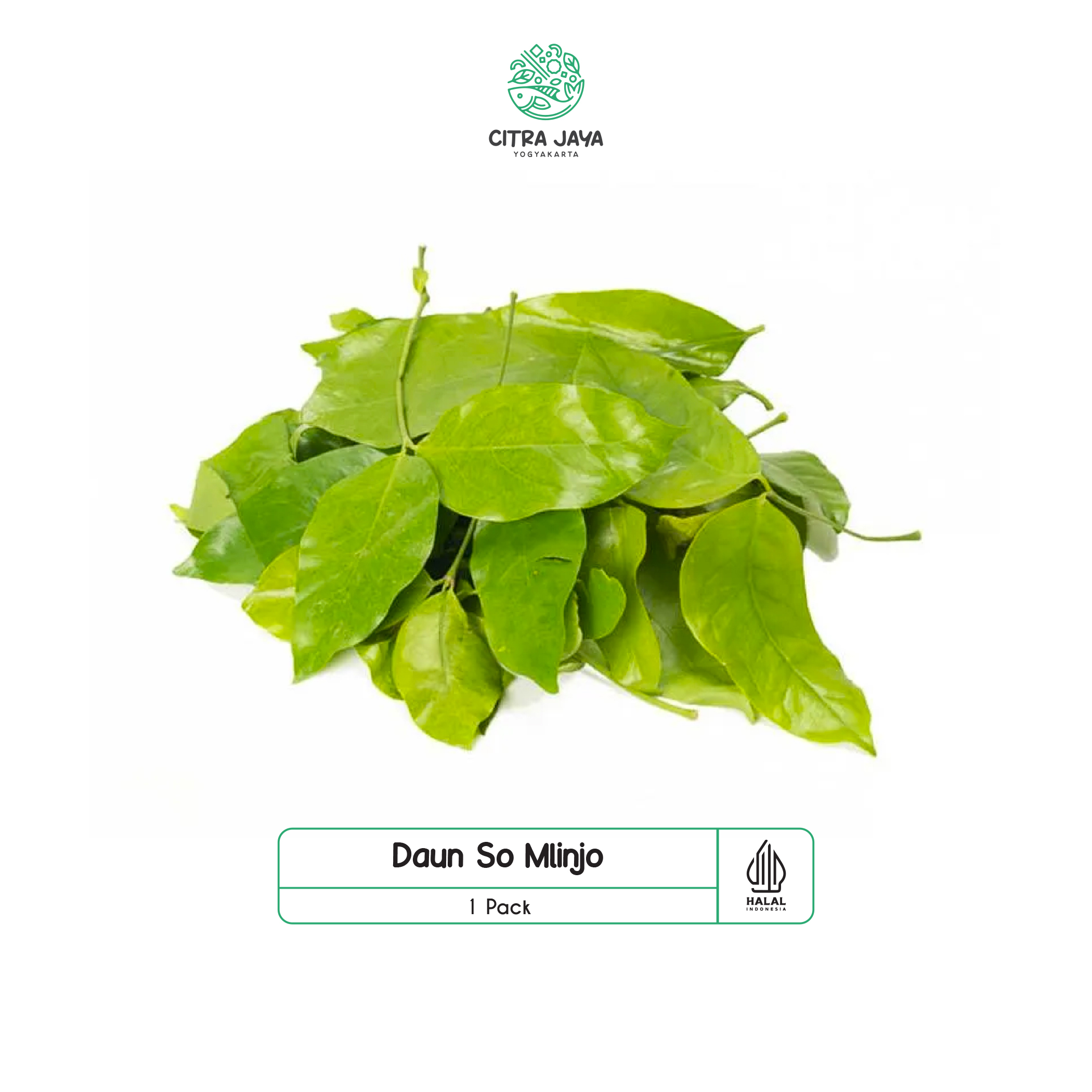 

Daun So Mlinjo 100g - Citra Jaya Yogyakarta