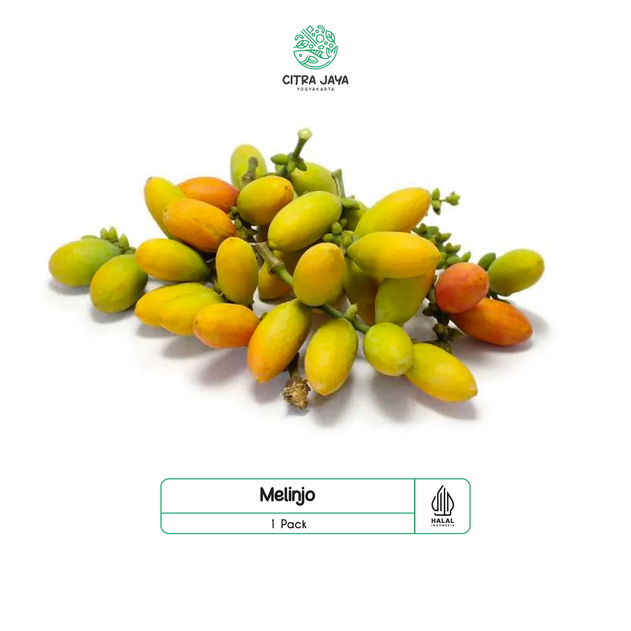 

Kulit Melinjo - Citra Jaya Yogyakarta