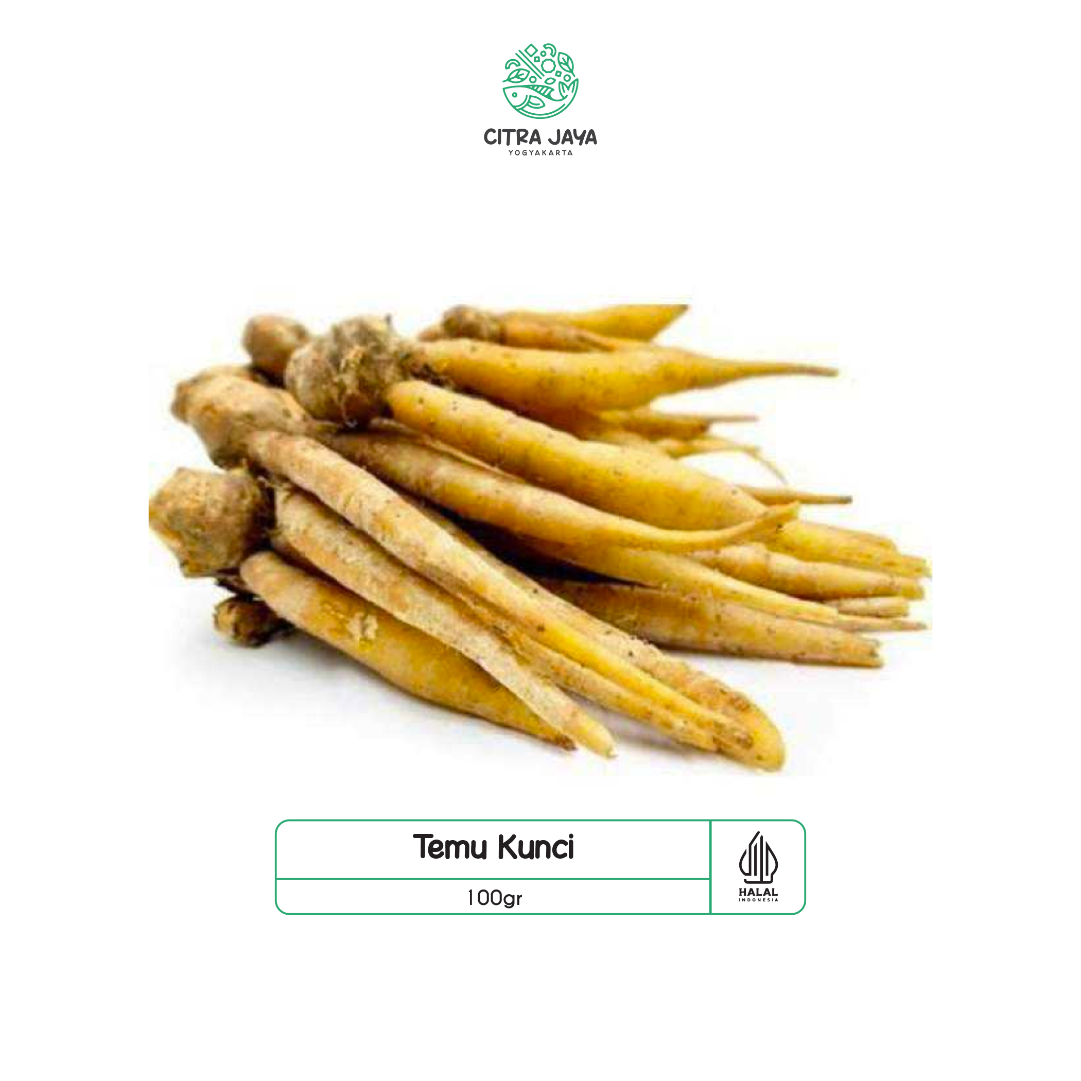 

Temu Kunci 100g - Citra Jaya Yogyakarta