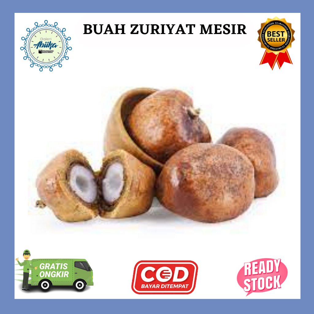 

Zuriyat Mesir 500gr Buah Zuriat Buah Keturunan Untuk Promil