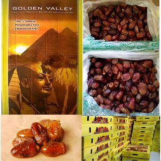 

Kurma 10kg / Golden Valley / Khalas / Mesir / BPOM ORIGINAL