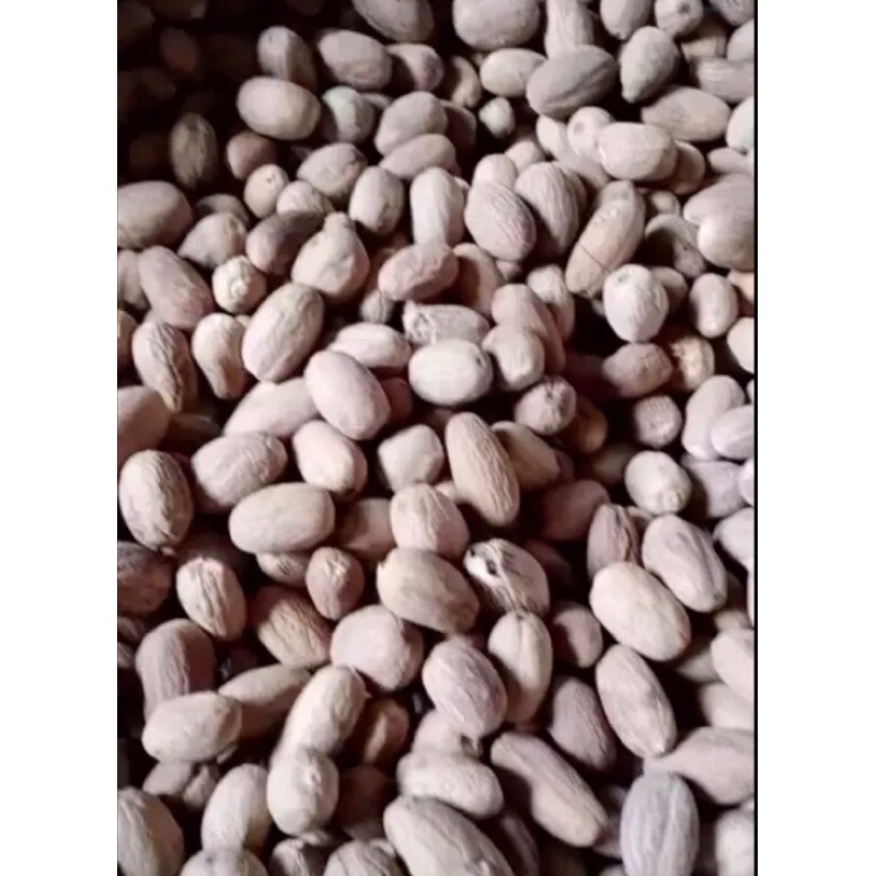 

Buah Pala kupas 100gr 250gr 500gr