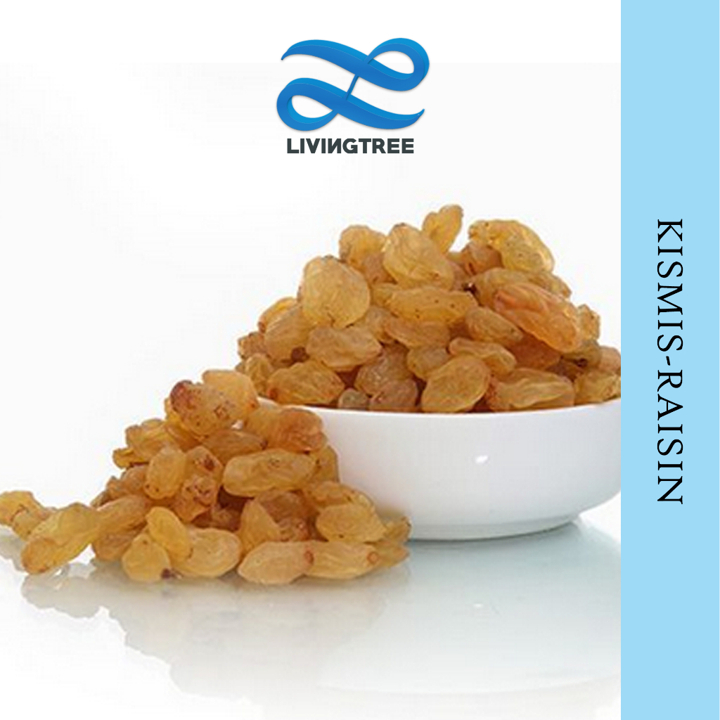 

Kismis Anggur Golden Raisin / Kismis Asam Manis 250gr Raisin Star untuk Oleh Oleh Haji dan Umroh