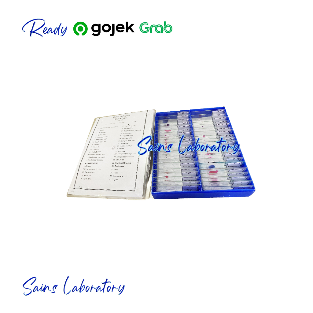 Preparat Zoologi Hewan 1 Set 40 Jenis Awetan Preparat Set Mikroslaid Zoologi Original Alat Peraga Pe