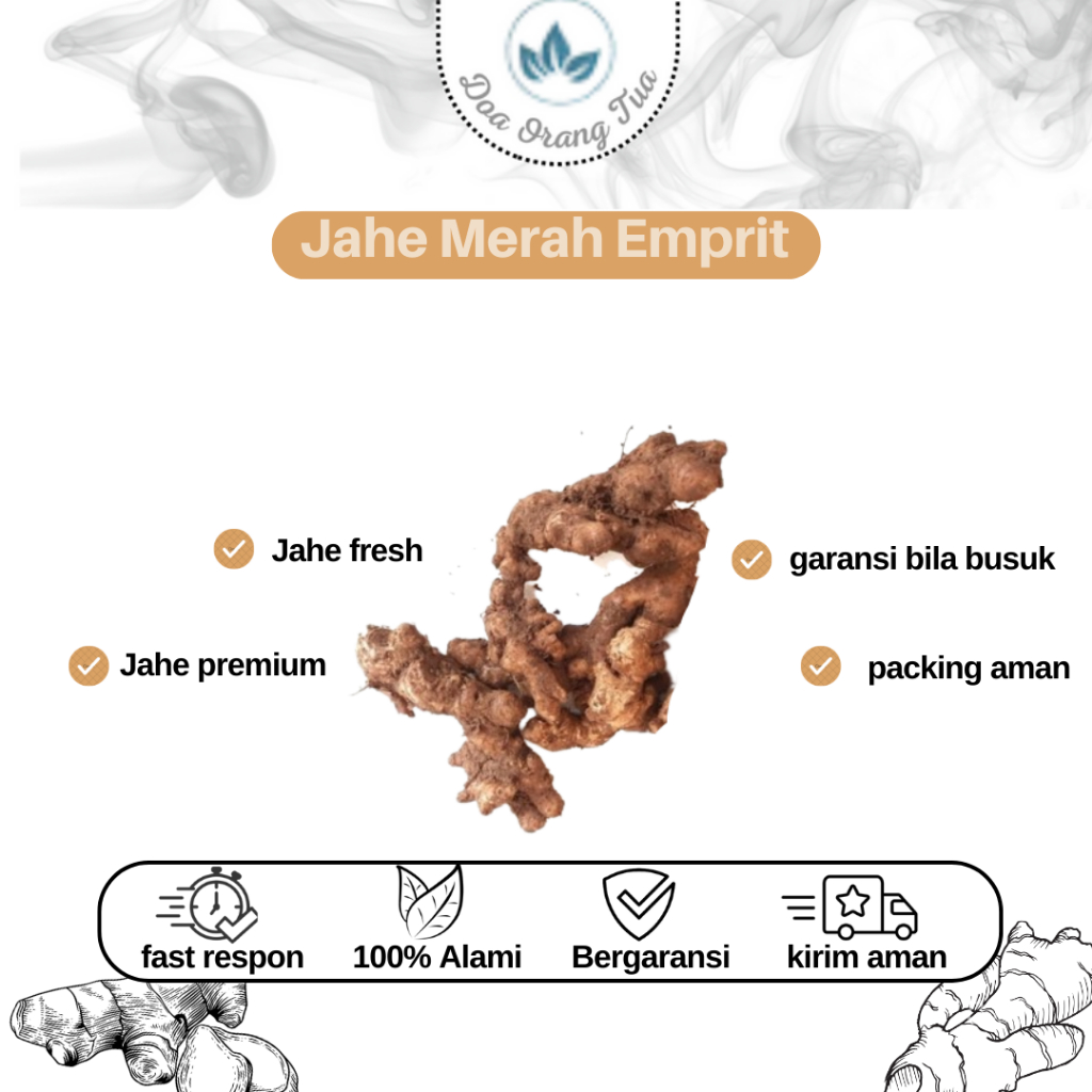 

JAHE EMPRIT MERAH FRESH 500gr