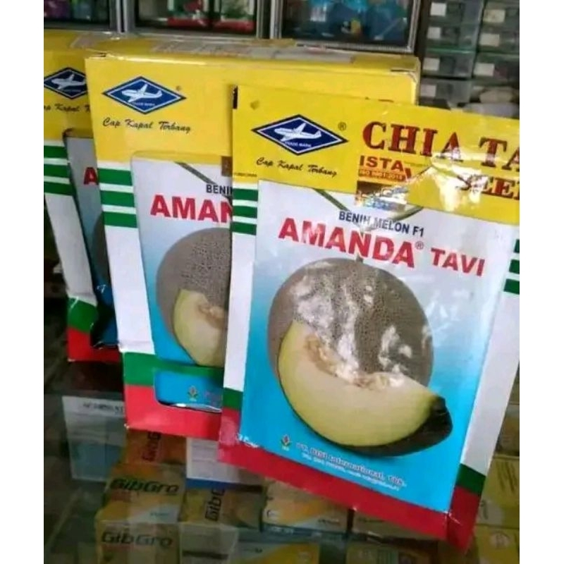 Benih bibit MELON AMANDA TAVI F1 13 gram cap kapal terbang