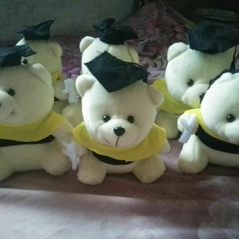 Boneka wisuda 15 cm