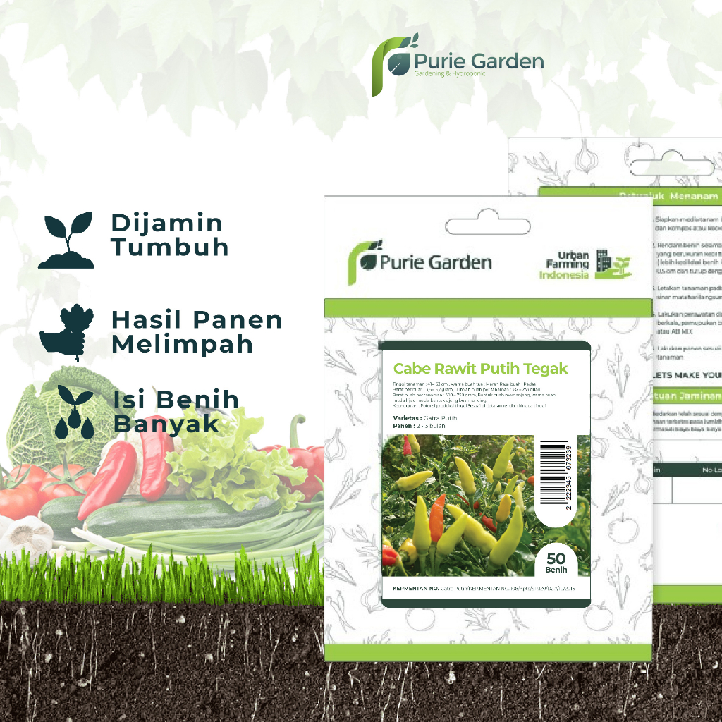 Bibit Benih Cabe Rawit Putih Tegak Purie Garden 50 Benih PG SBY