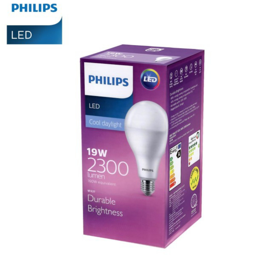 philips led 19w