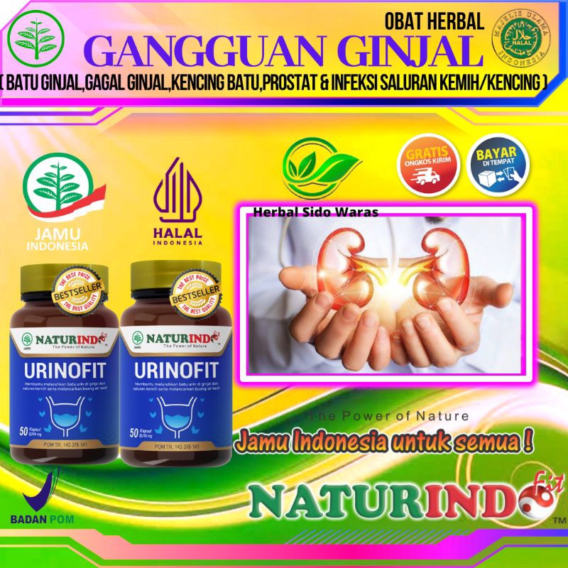 Obat Ginjal Obat Batu Ginjal Obat Kencing Batu Obat Ginjal Herbal Obat Herbal Batu Ginjal Obat Gagal