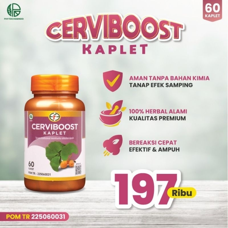 CERVIBOOST Ginkgo Biloba isi 60 Tablet Nutrisi Otak Obat Vertigo Memperkuat Daya Ingatan Obat Dimens