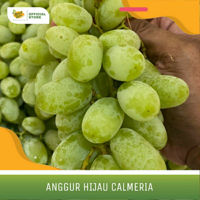 

ANGGUR HIJAU CALMERIA IMPORT