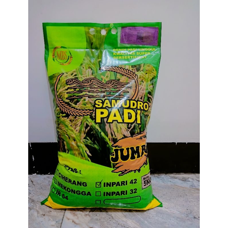 BIBIT PADI JUMBO VARIETAS CIHERANG SS
