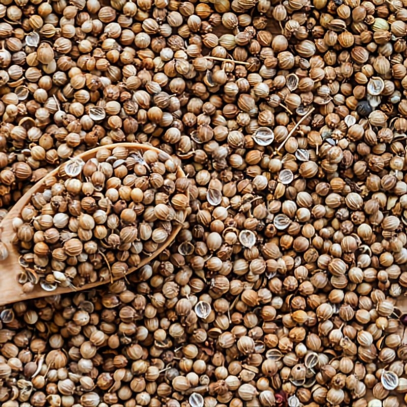 

Ketumbar Hitam 500 Gram