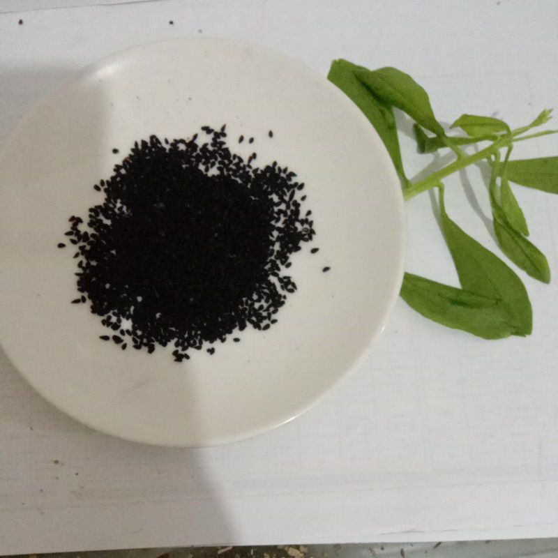 

BIJI SELASI 100gram