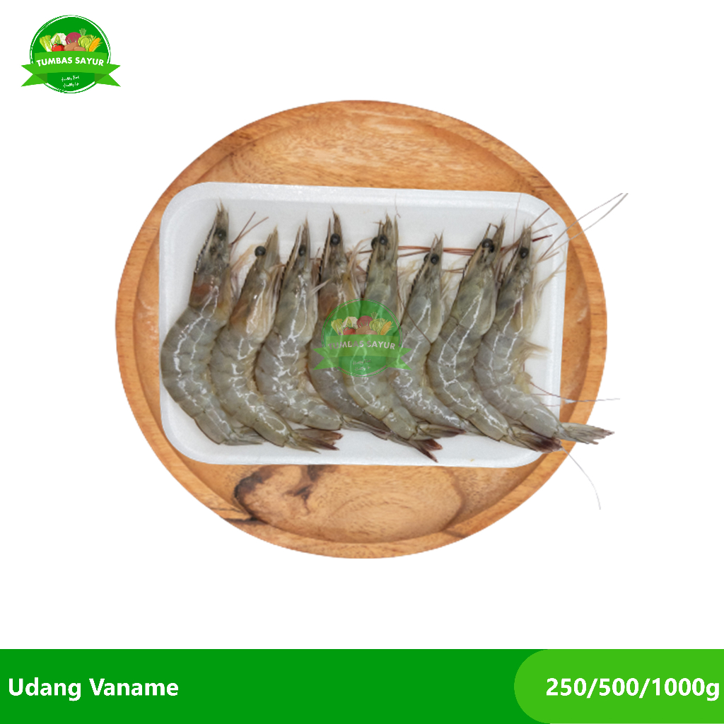 

Udang Vaname