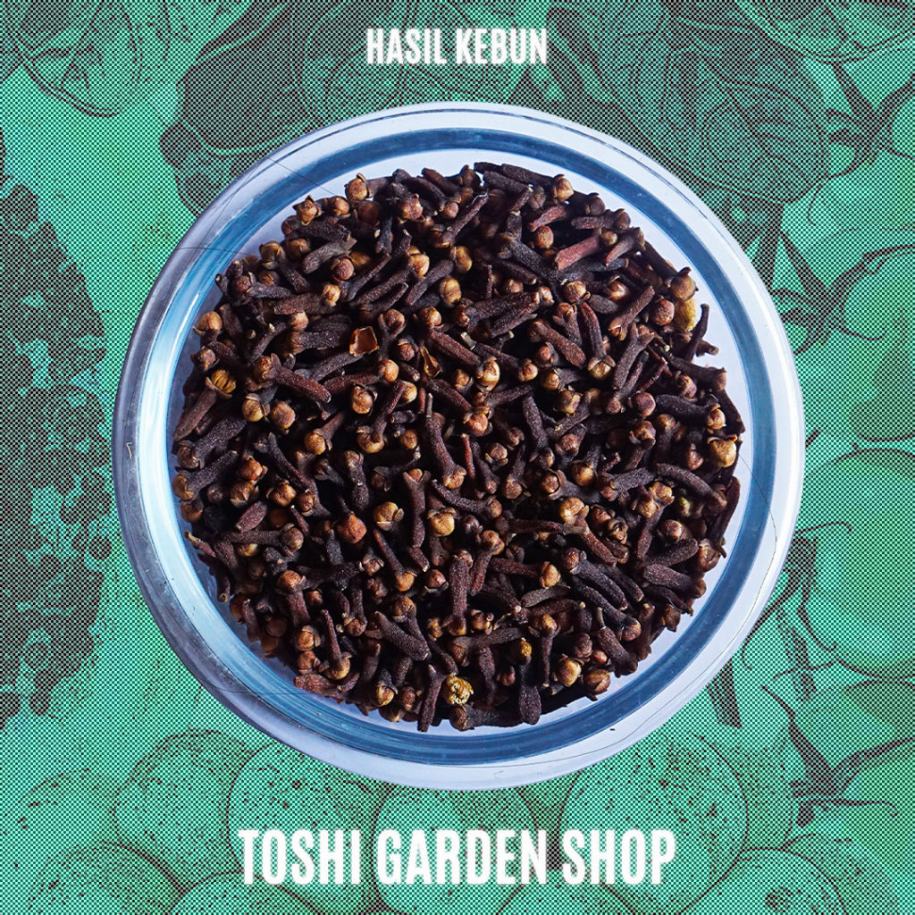 

CENGKEH 50 GR (HASIL KEBUN)