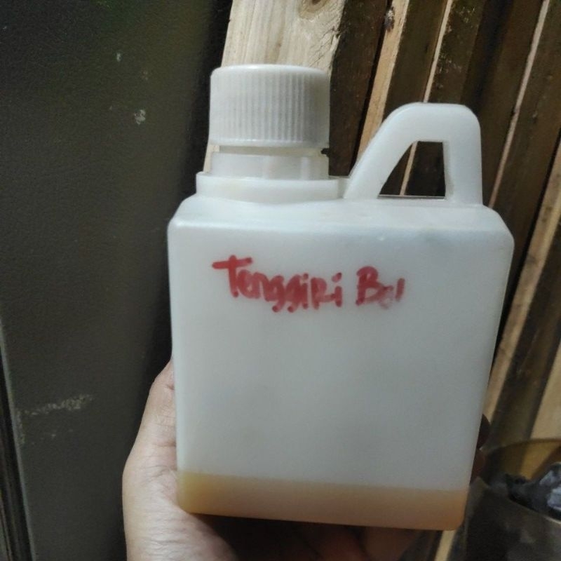 esen oplosan tenggiri bolu